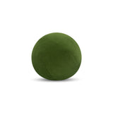 Lush Velvet Ivy Pillow
