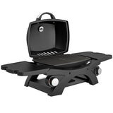 2 Burner Gas Grill with 2 Side Tables and Cast Iron Grates, Black