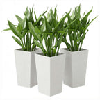 3 Piece 24" Tall Planters with Drainage Holes, White