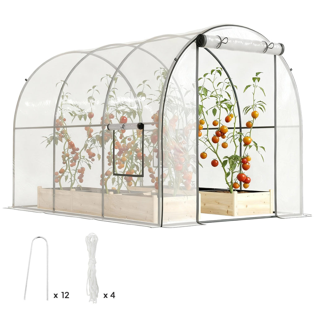 3 x 2 x 2 m Polytunnel Greenhouse with Roll-up Door, Clear