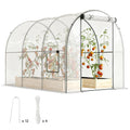 3 x 2 x 2 m Polytunnel Greenhouse with Roll-up Door, Clear