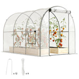 3 x 2 x 2 m Polytunnel Greenhouse with Roll-up Door, Clear