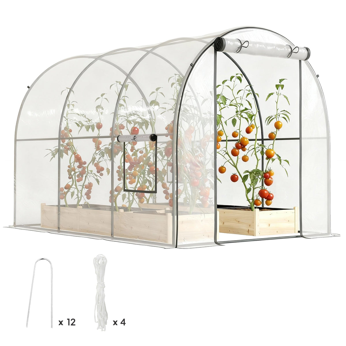 3 x 2 x 2 m Polytunnel Greenhouse with Roll-up Door, Clear