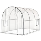 3 x 2 x 2 m Polytunnel Greenhouse with Roll-up Door, Clear