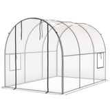 3 x 2 x 2 m Polytunnel Greenhouse with Roll-up Door, Clear