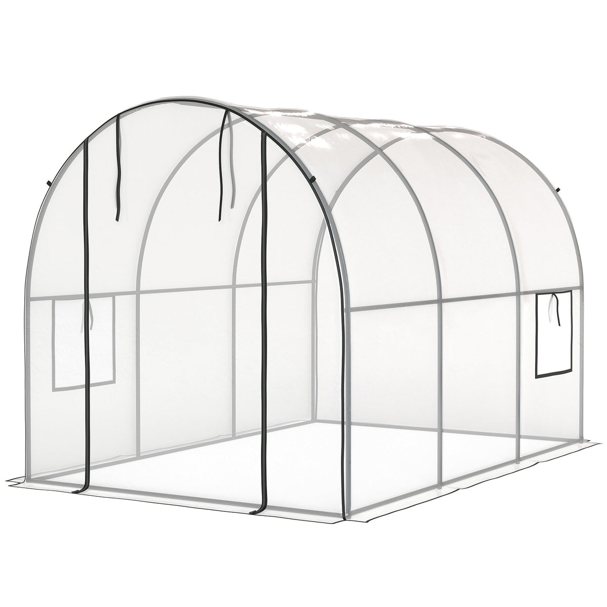 3 x 2 x 2 m Polytunnel Greenhouse with Roll-up Door, Clear