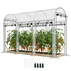 10' x 3' x 6.5' Walk-in Tunnel Greenhouse, Clear