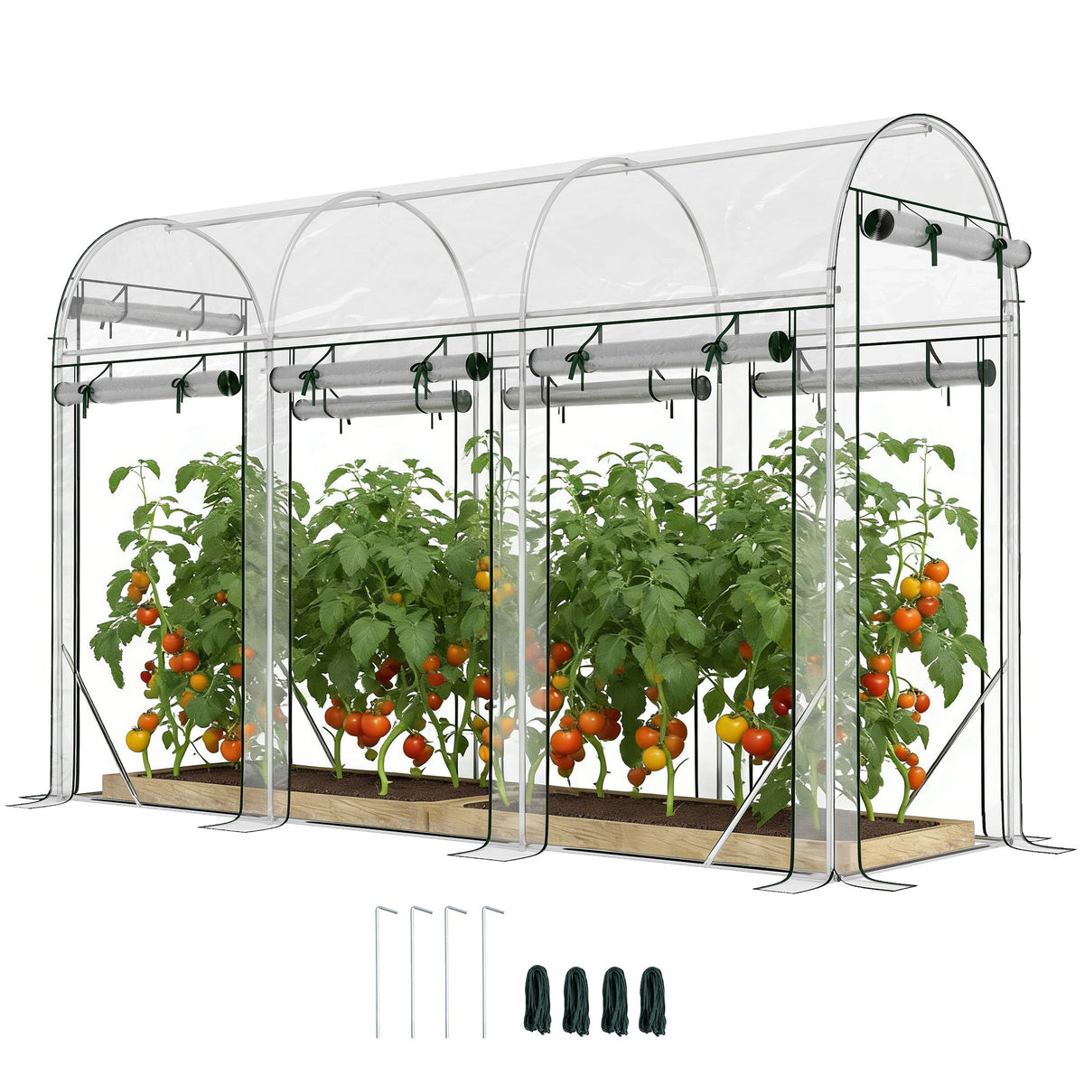 10' x 3' x 6.5' Walk-in Tunnel Greenhouse, Clear
