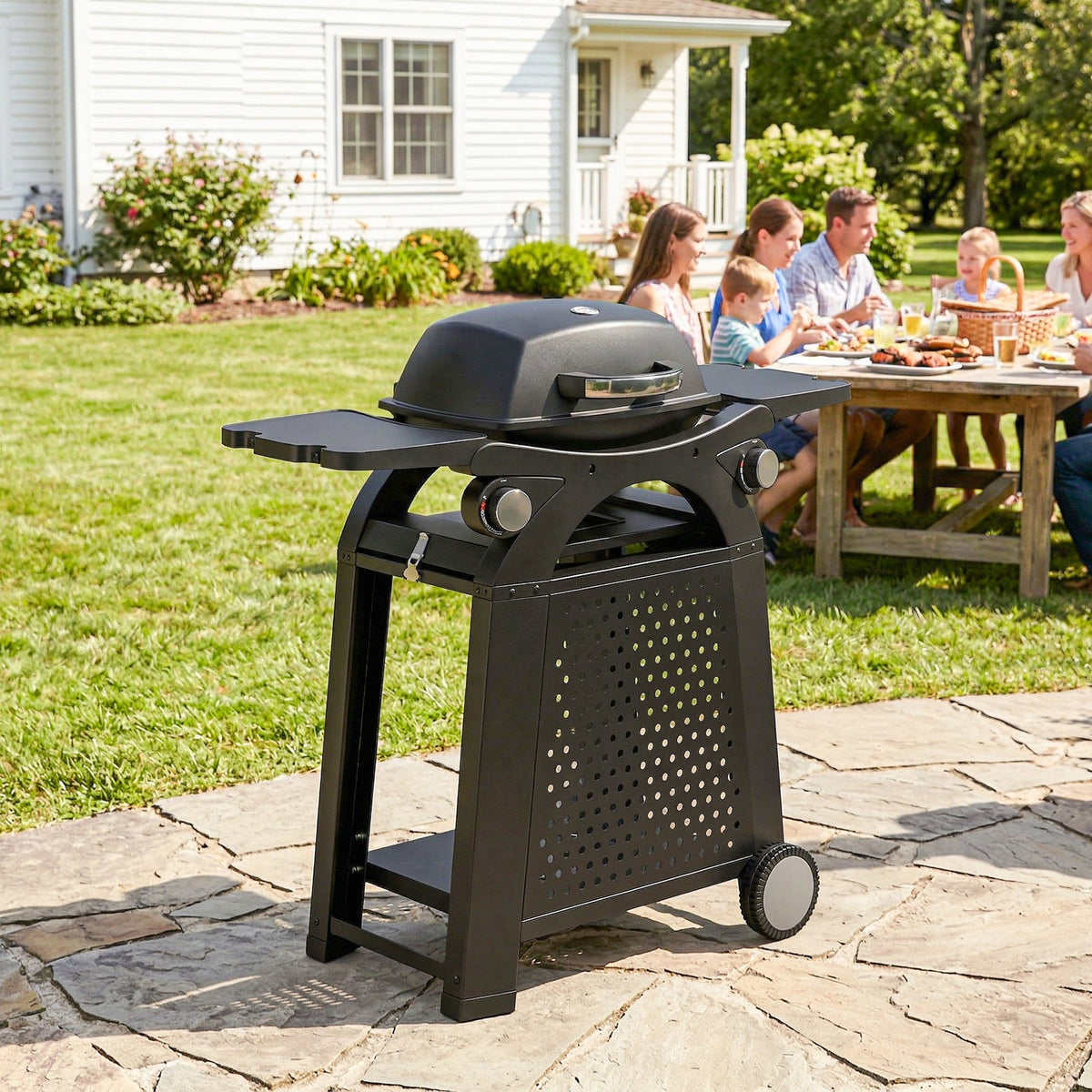 2 Burner Gas Grill with Wheels, Side Tables and Cast Iron Grates, Black