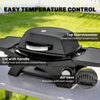 2 Burner Gas Grill with 2 Side Tables and Cast Iron Grates, Black