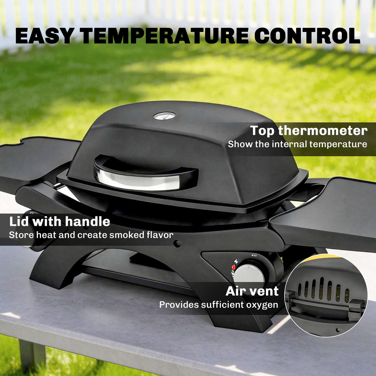 2 Burner Gas Grill with 2 Side Tables and Cast Iron Grates, Black