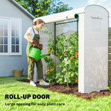 78.7" x 29.5" x 74" Mini Greenhouse, White