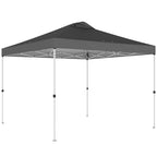9.8' x 9.8' Pop-Up Canopy with Carrying Bag, Stakes and Ropes, Dark Grey
