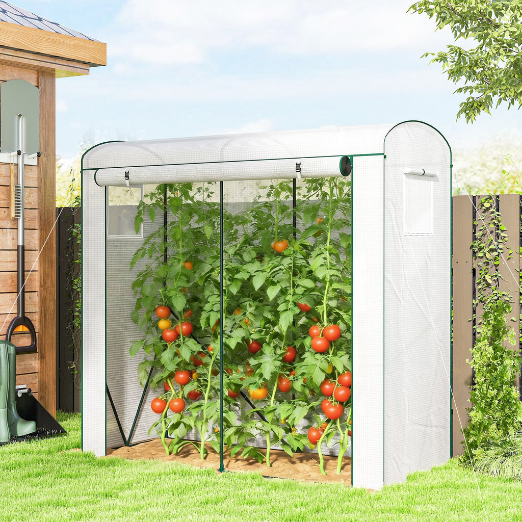 78.7" x 29.5" x 74" Mini Greenhouse, White