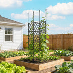 33.5 x 77.6 Inch Foldable Garden Trellis for Climbing Plants, Black