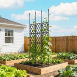 33.5 x 77.6 Inch Foldable Garden Trellis for Climbing Plants, Black