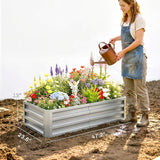 Galvanized Raised Garden Bed for Vegetables, Herbs & Succulents, 4' x 2' x 1' Metal Planter Box in Silver