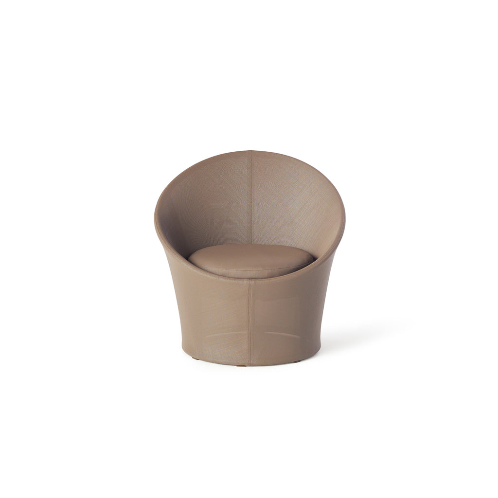 Apollo Lounge Chair in Coffee