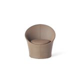 Apollo Lounge Chair in Coffee