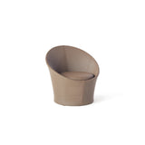 Apollo Lounge Chair in Coffee