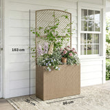80 x 30 x 163 cm Rattan Raised Planter Box with Trellis and Liner, Light Grey