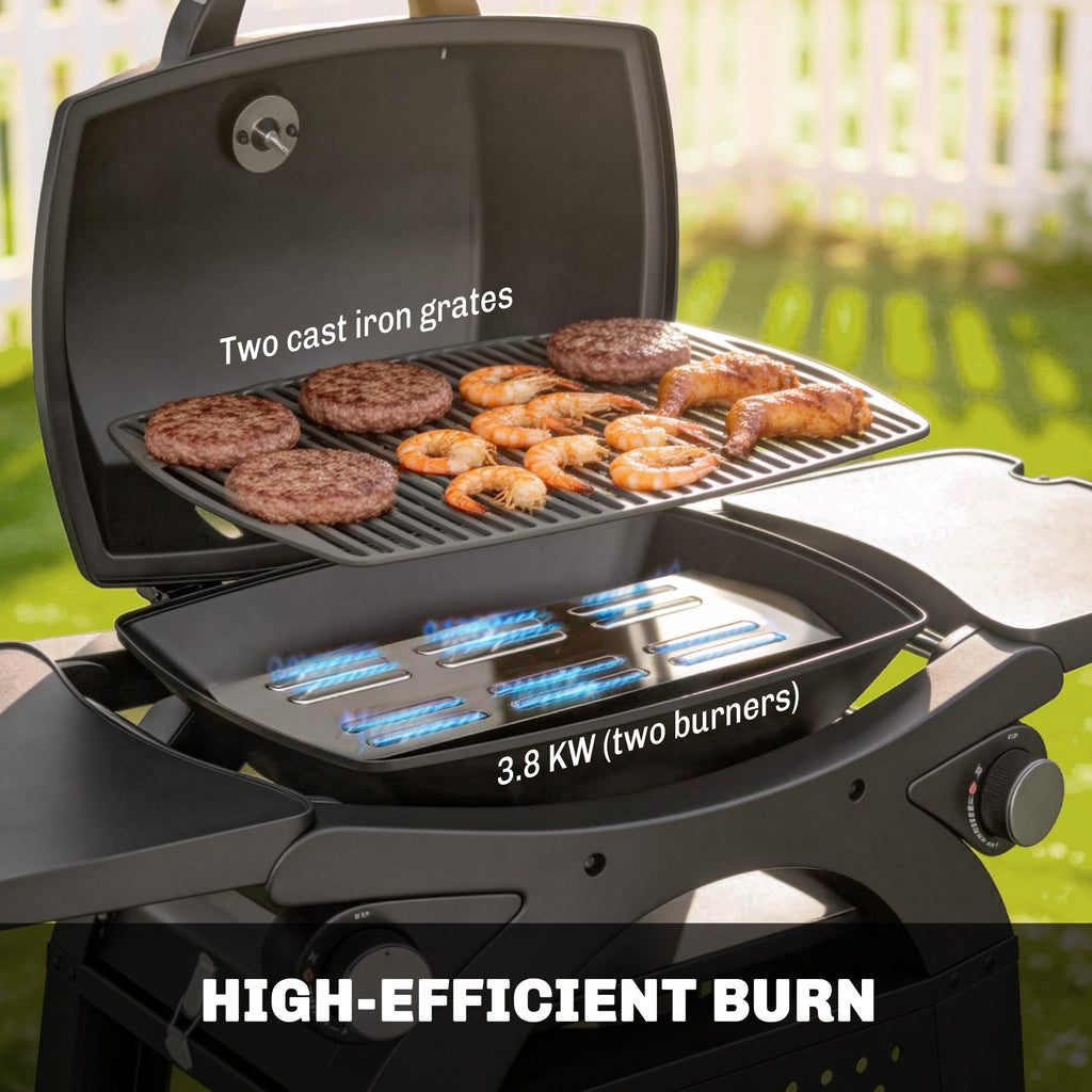 2 Burner Gas Grill with Wheels, Side Tables and Cast Iron Grates, Black