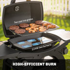 2 Burner Gas Grill with Wheels, Side Tables and Cast Iron Grates, Black