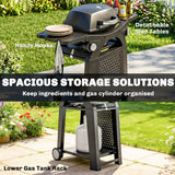 2 Burner Gas Grill with Wheels, Side Tables and Cast Iron Grates, Black