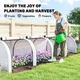 13' L x 3' W x 2.5' H Portable Tunnel Greenhouse, White