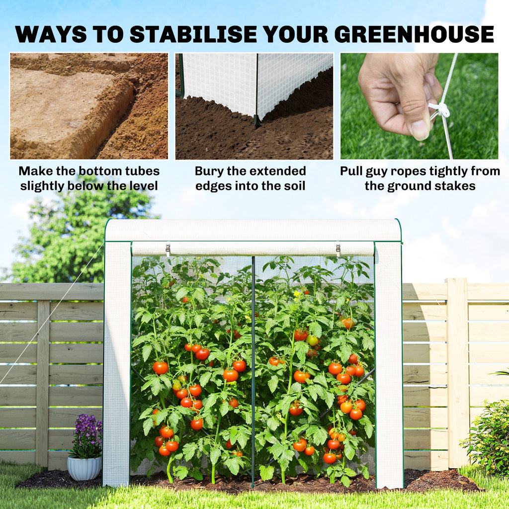 78.7" x 29.5" x 74" Mini Greenhouse, White