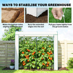 78.7" x 29.5" x 74" Mini Greenhouse, White