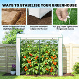 78.7" x 29.5" x 74" Mini Greenhouse, White