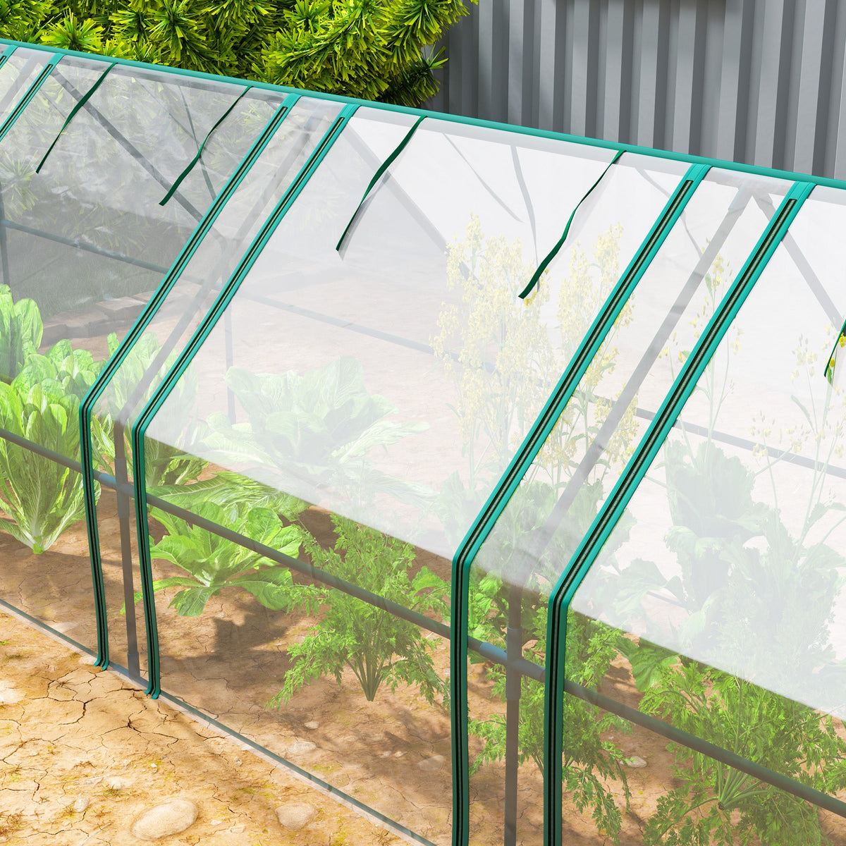 Mini Greenhouse with Zippered Doors & Roll-up Windows,