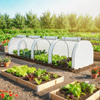 13' L x 3' W x 2.5' H Portable Tunnel Greenhouse, White