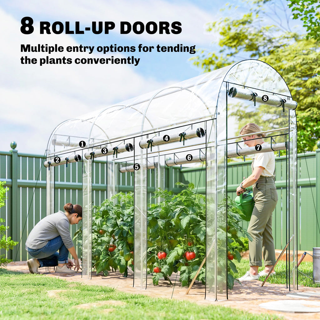 10' x 3' x 6.5' Walk-in Tunnel Greenhouse, Clear