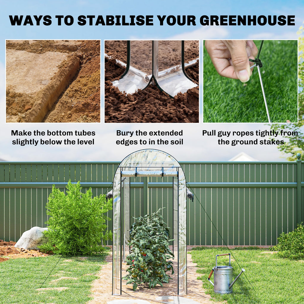 10' x 3' x 6.5' Walk-in Tunnel Greenhouse, Clear