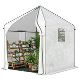 63" x 63" x 78.7" Mini Walk-in Greenhouse with PE Cover, Roll-up Door & 3 Mesh Windows, White