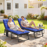 2 Piece Reclining Outdoor Chaise Lounge Chairs with Cushions, Dark Gray/Blue