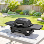 2 Burner Gas Grill with 2 Side Tables and Cast Iron Grates, Black