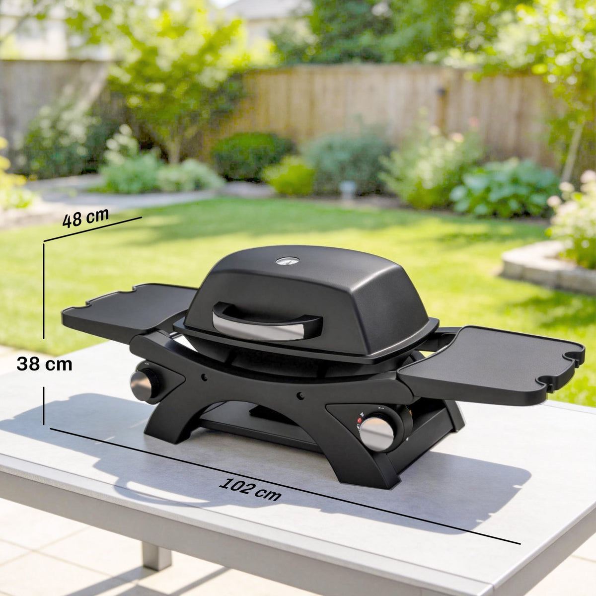 2 Burner Gas Grill with 2 Side Tables and Cast Iron Grates, Black