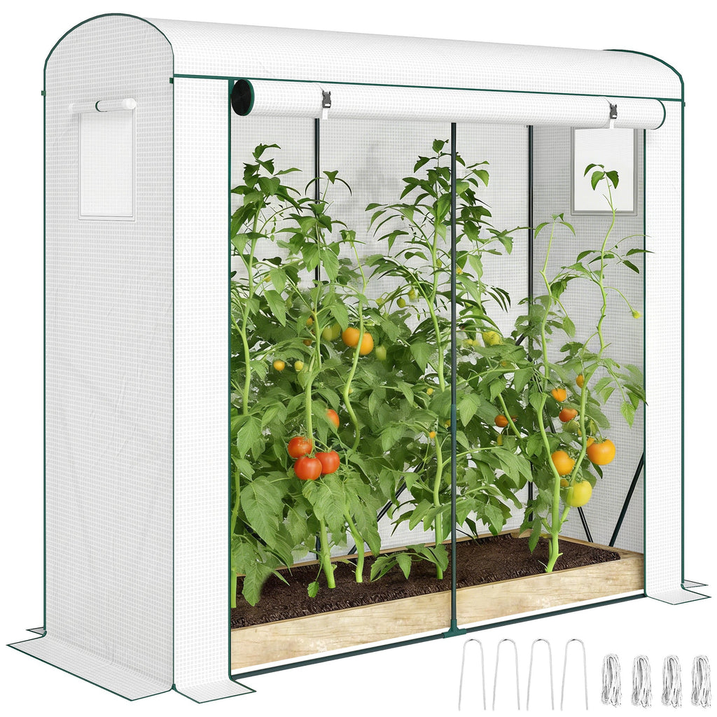78.7" x 29.5" x 74" Mini Greenhouse, White