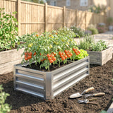 Galvanized Raised Garden Bed for Vegetables, Herbs & Succulents, 4' x 2' x 1' Metal Planter Box in Silver