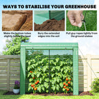 78.7" x 29.5" x 74" Mini Greenhouse, Green