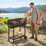 Charcoal BBQ Trolley, Metal 2-Zone Grill on Wheels, Adjustable Grates, Black