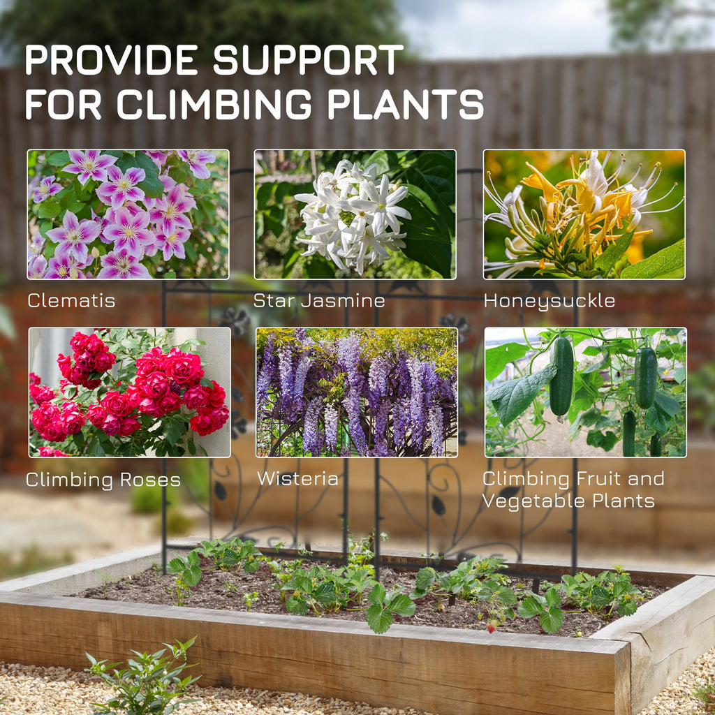 2 Pack Garden Trellis for Climbing Plants, 39" Tall