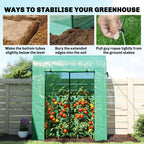6' x 2' x 6.6' Mini Greenhouse with Roll-up Door, Green