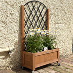 2 Pack Raised Garden Beds with Metal Trellis, Wheels and Drainage, Brown