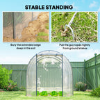 3 x 2 x 2 m Polytunnel Greenhouse with Roll-up Door, Clear