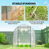3 x 2 x 2 m Polytunnel Greenhouse with Roll-up Door, Clear