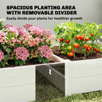 6.5 x 3 x 1ft Vinyl Raised Garden Bed with Divider, White